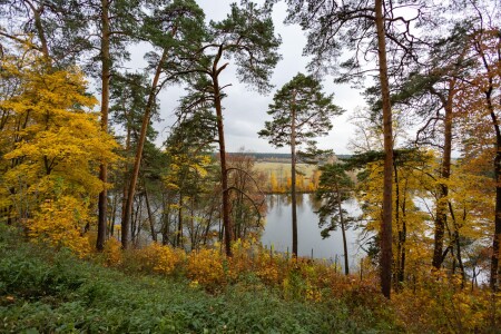 Осенний берег