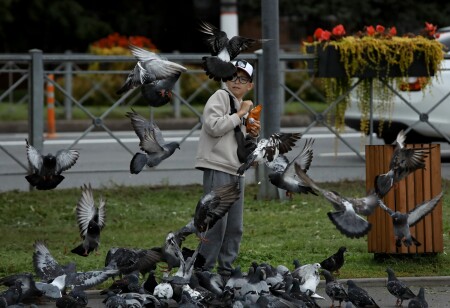 почти по Хичкоку
