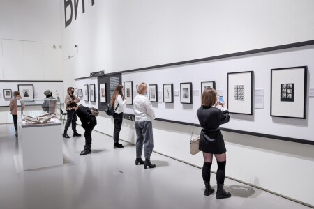 Картинки с выставки