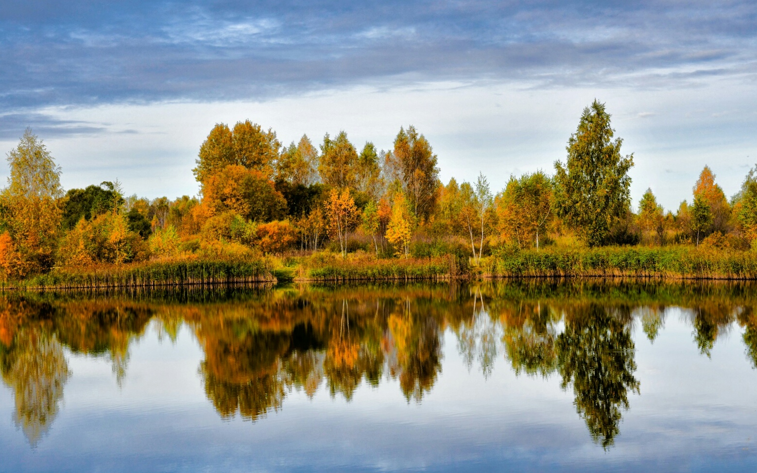 Природа Смоленщины 