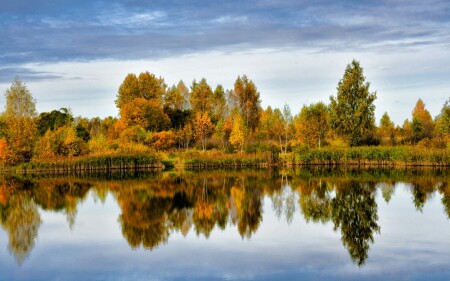 Природа Смоленщины