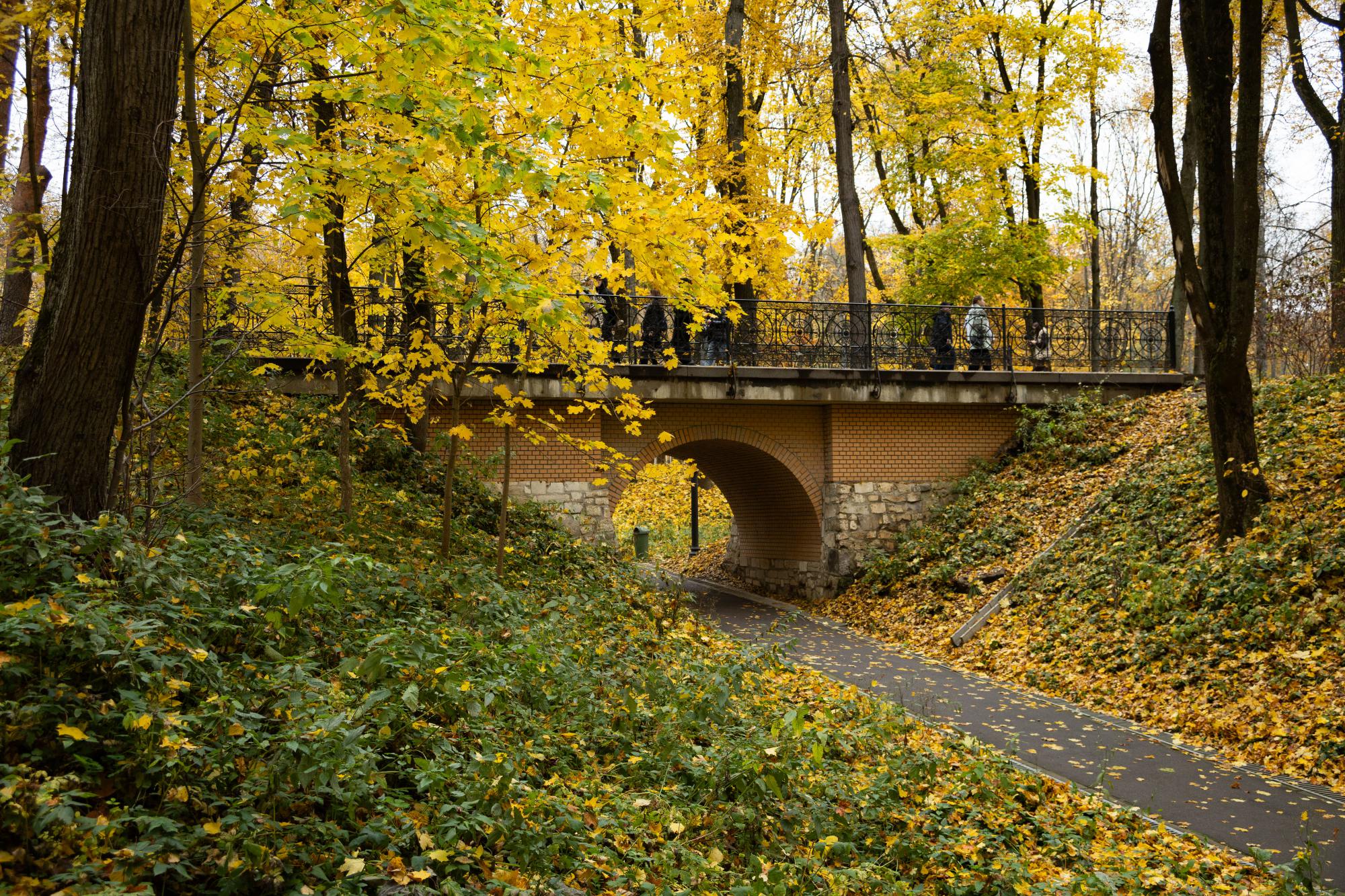 В парке