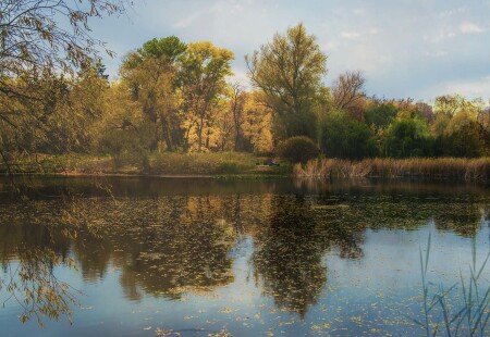 Озерная гладь