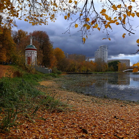 Московская осень...