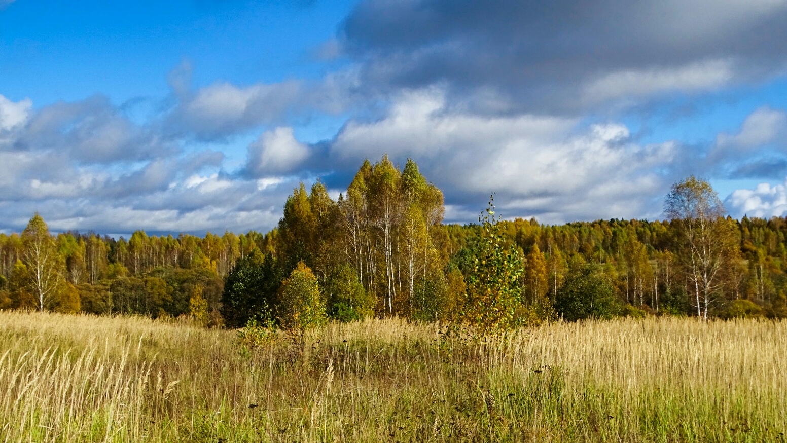 Природа Смоленщины 