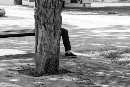 Кто не спрятался...