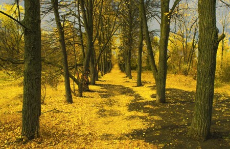 Осенний коридор