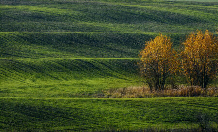 Тульская Тоскана.