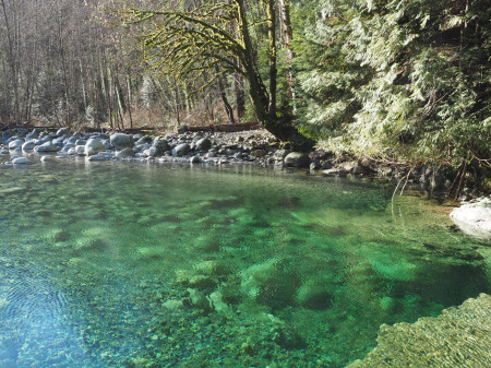 Зеленая вода