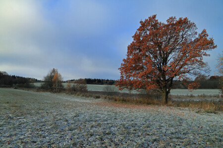 Поздняя осень