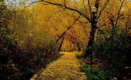 Прогулка по осеннему парку