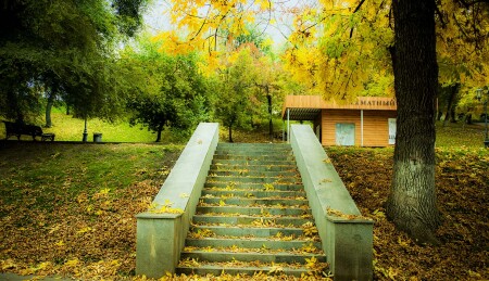 Золотые листья старого парка...