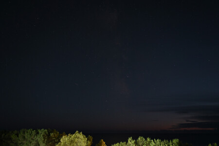 сумеречный стрелец