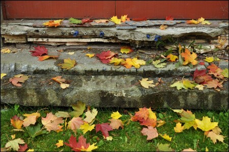 три ступеньки_