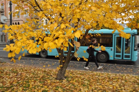 жОлтый Альбом_