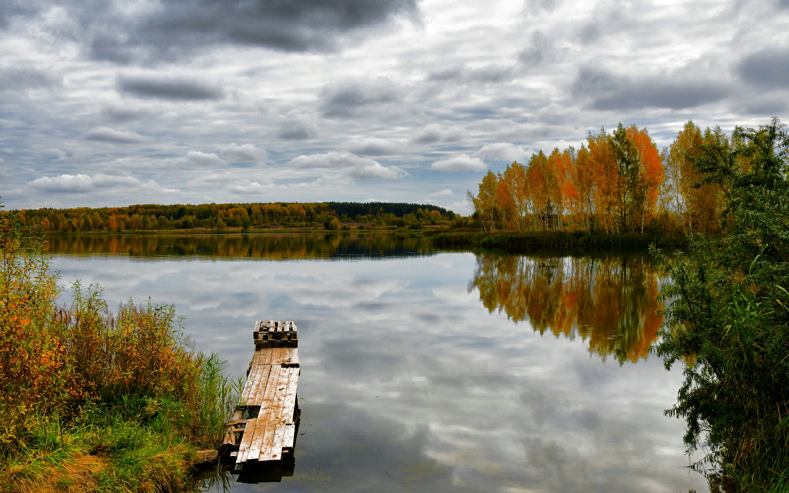 Природа Смоленщины 
