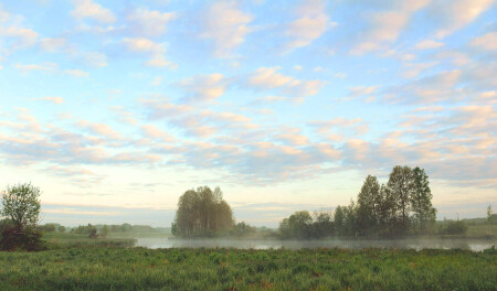 Парное утро