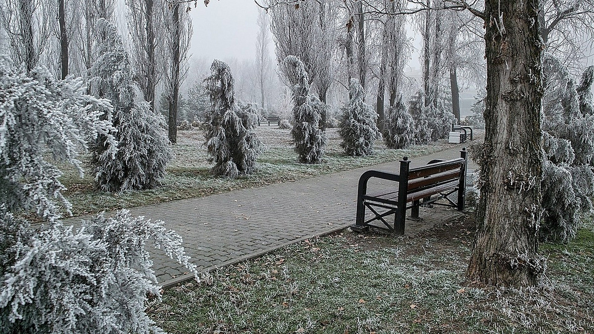 Парад.