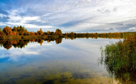 Природа Смоленщины
