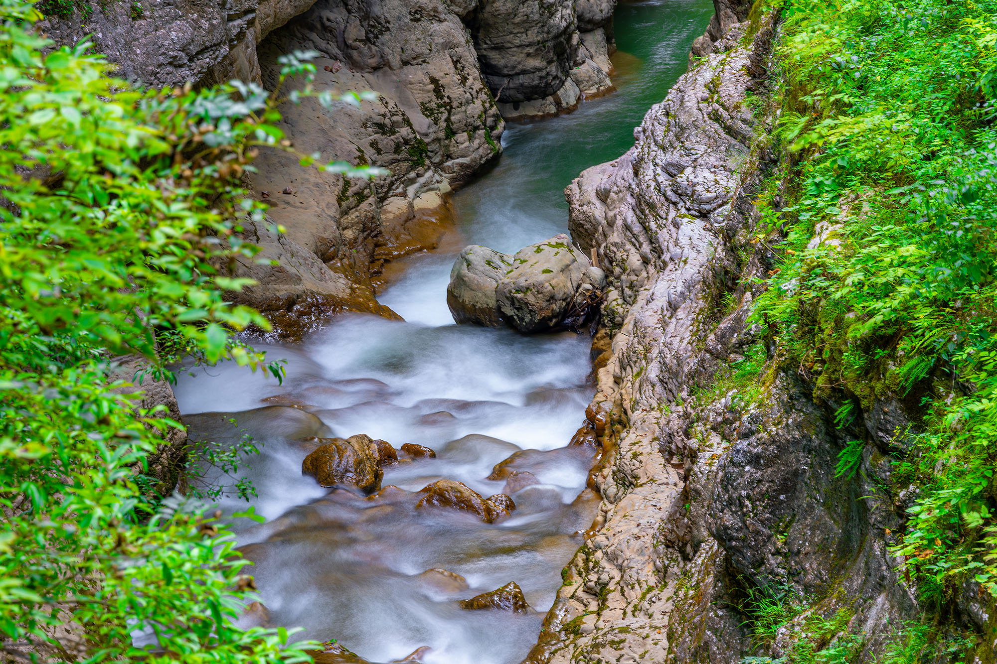 Курджипс в Гуамке