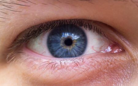 Око и мир в отражении