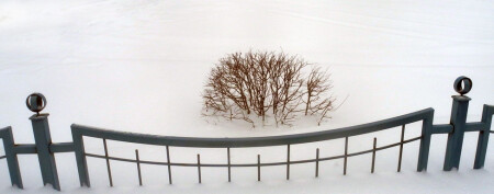 За оградкой...