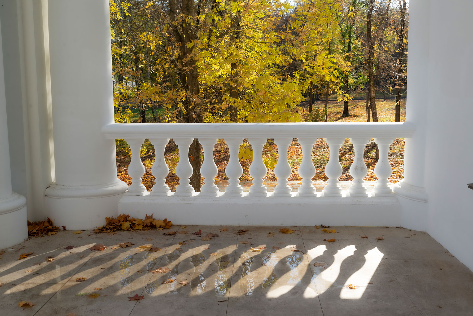 Золотая осень