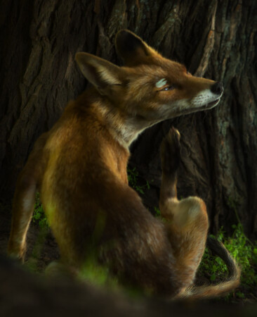 Лис в сказочном лесу