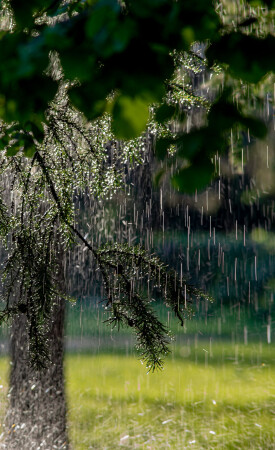 В ритме дождя