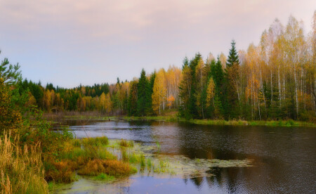 осень