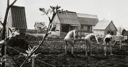 Весенние работы