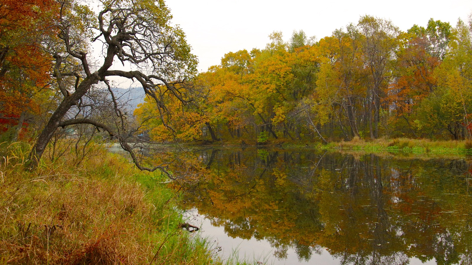 Затерянная протока