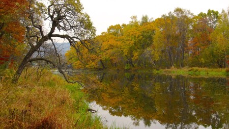 Затерянная протока