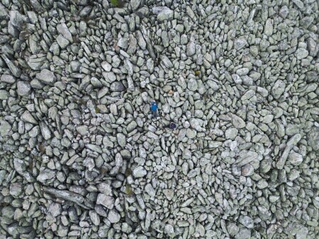 ..В потоке реки..