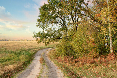 Ласковое небо