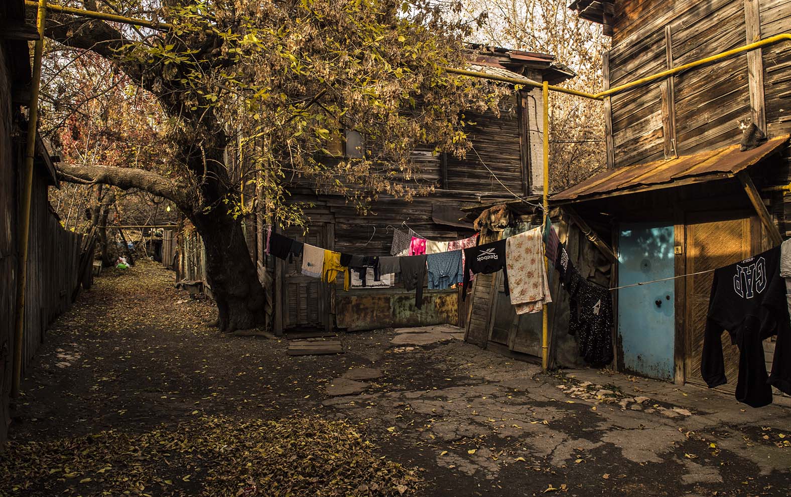 Городской двор с бельем и котом на крыше