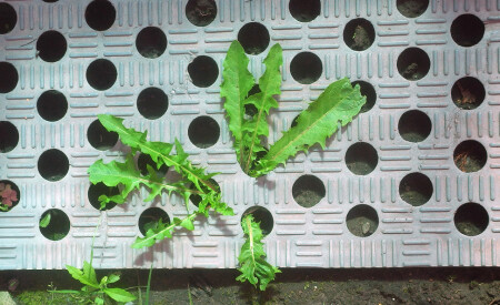 Без названия...