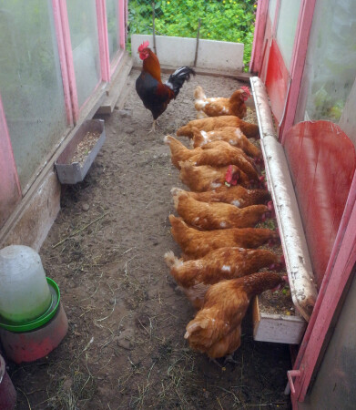 Настоящий...