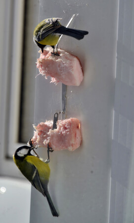 Доброе утро!