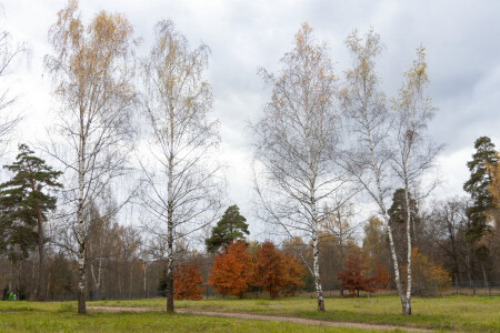 Осенняя тишина и спокойствие