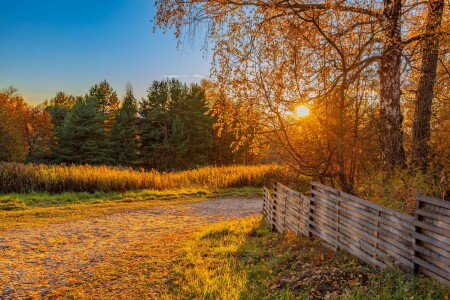 Осень на закате