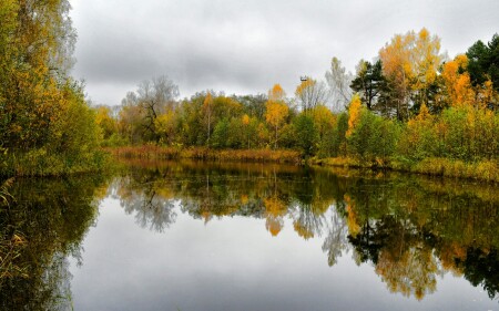 Природа Смоленщины