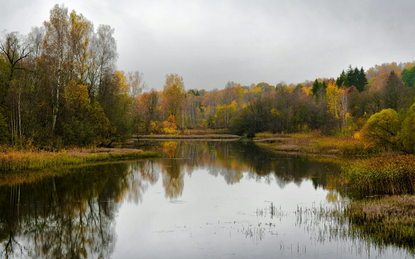 Природа Смоленщины 