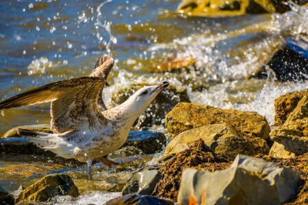 Боевой настрой