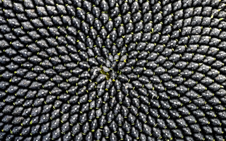 Без названия...