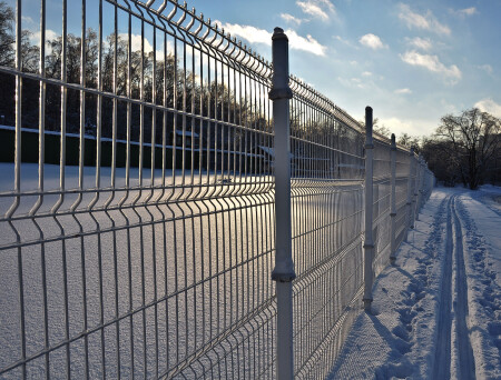 После ледяного дождя