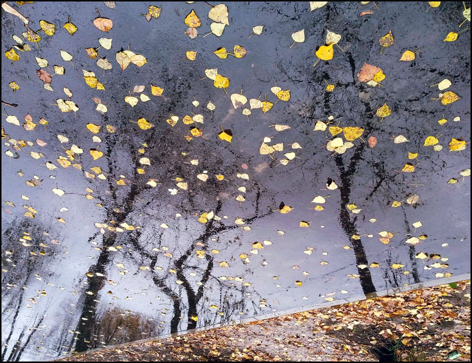 осень