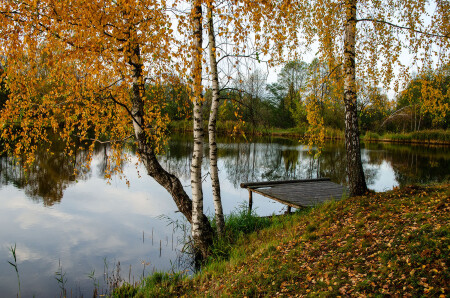 Золото осени