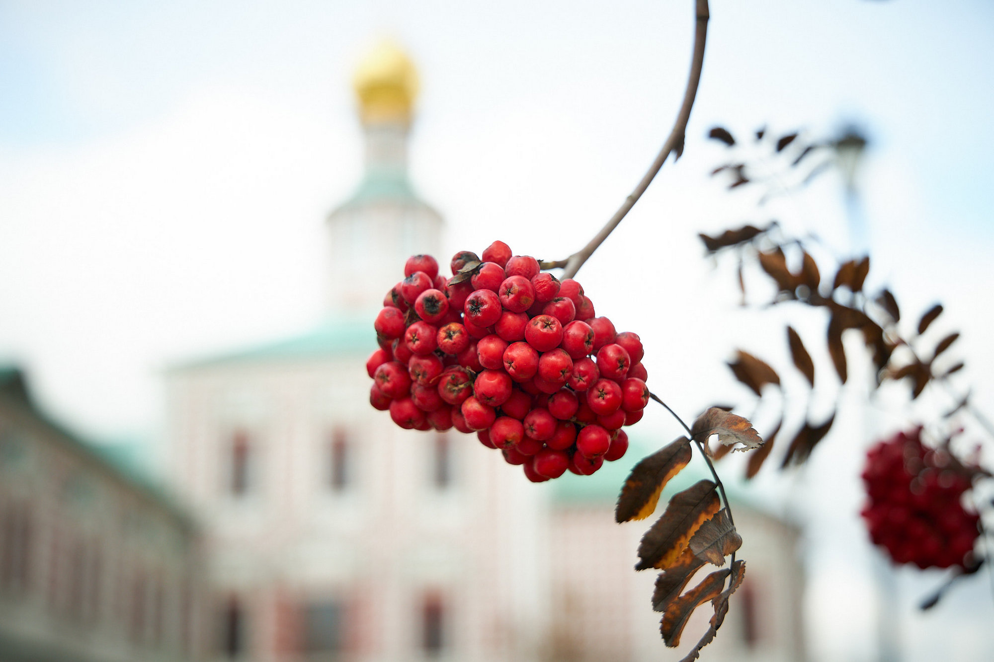 Краски осени