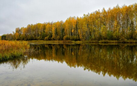 Природа Смоленщины